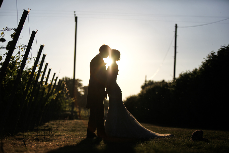 Sunset wedding photography photo, English Oak Vineyard