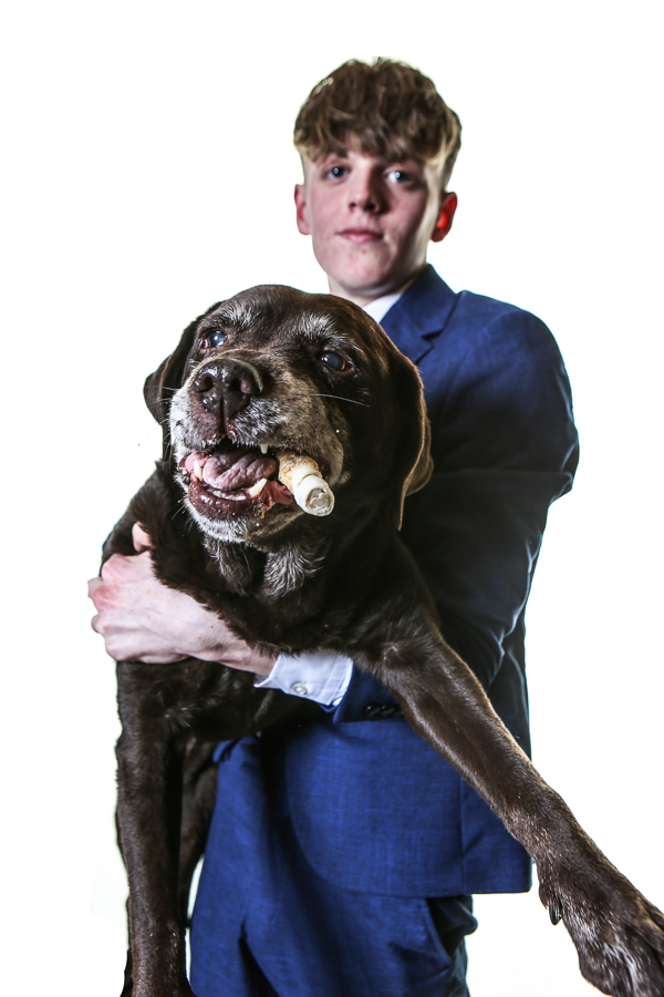 pro studio photo shoot with Dog